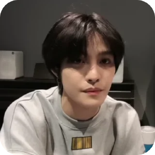 🌟 emoji YANGYANG @hyqwk Telegram sticker 5 of 19