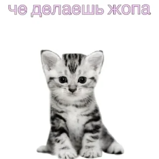 ❓ emoji Ах ты прости Господи Telegram sticker 7 of 40