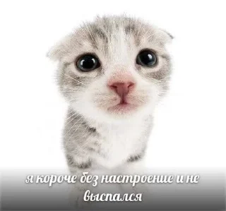 😢 emoji Смешно Telegram sticker 15 of 29