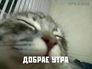 😴 emoji жизааа Telegram sticker 6 of 15
