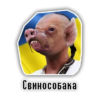 🐗 emoji Хохлопикчерс - @newsgrib Telegram sticker 9 of 28