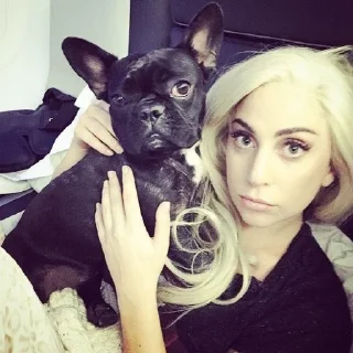 😳 emoji Lady Gaga @wineofpassion Telegram sticker 17 of 29