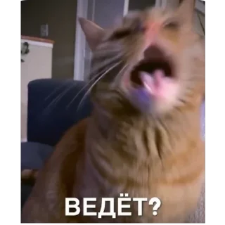 😁 emoji это мои друзья Telegram sticker 24 of 60