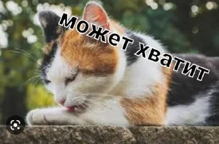 😤 emoji Фан Ану-ка да-вай-ка Telegram sticker 24 of 47