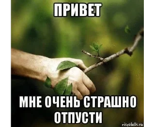 🌟 emoji reaction pics Telegram sticker 13 of 59