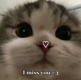 🥺 emoji Hot women slaying Telegram sticker 15 of 96