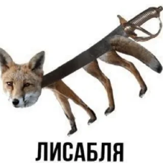 🦊 emoji хули ты не дома Telegram sticker 6 of 40