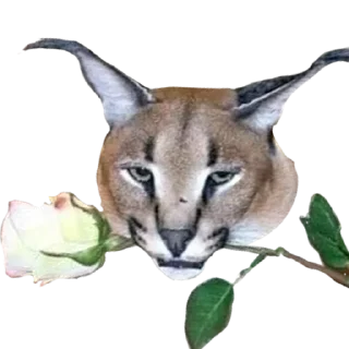 💋 emoji Большой Шлепа Telegram sticker 8 of 25