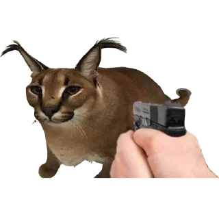🥺 emoji Большой Шлепа Telegram sticker 24 of 25