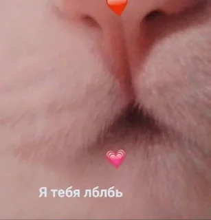 💋 emoji Канал чото @i_gay97542 Telegram sticker 14 of 28