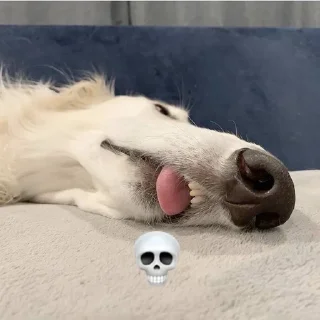 🌟 emoji borzoi Telegram sticker 16 of 32
