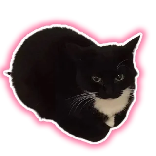 ☮️ emoji Добри Шлёпка Telegram sticker 7 of 11