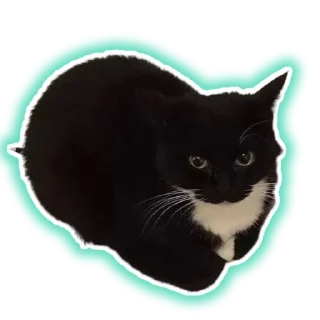 ☮️ emoji Добри Шлёпка Telegram sticker 9 of 11