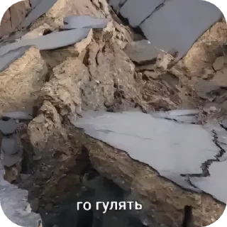 Sticker from Го гулять? @Ar4ech