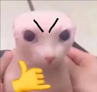 🌟 emoji мияги угрожал таджиками кириешке Telegram sticker 8 of 8