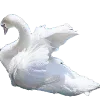 🦢 emoji fati @TgEmodziBot Telegram sticker 18 of 125
