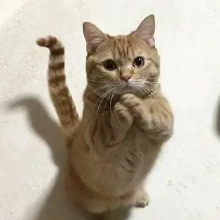 🙏 emoji дырка от бублика Telegram sticker 18 of 29