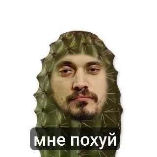 🌟 emoji пашатехникее Telegram sticker 12 of 91