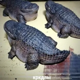 🐊 emoji Смешно? Telegram sticker 7 of 58