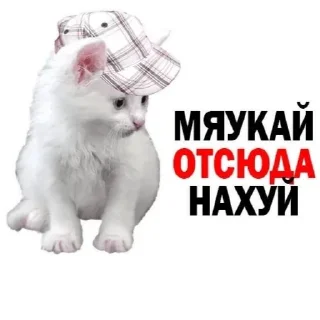 Sticker from Иди нахуй