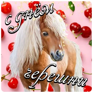 🍒 emoji с днём дня | @careerwithh Telegram sticker 8 of 57