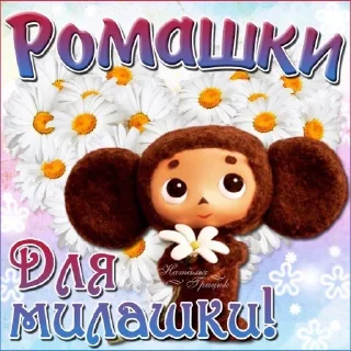 Sticker from ру мемы от макарошки