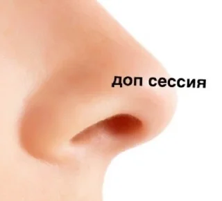 👃 emoji нормальный стикерпак Telegram sticker 8 of 16