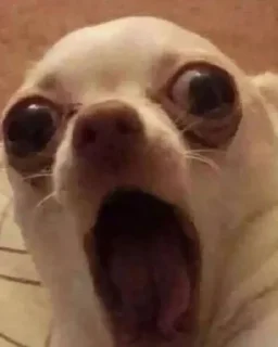 😟 emoji Жизнь Telegram sticker 20 of 72