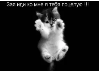 😍 emoji личные стикеры (кама)убачатозник Telegram sticker 2 of 33