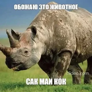 Sticker from Ахуеть