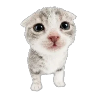 🫵 emoji комфорт^ Telegram sticker 22 of 50