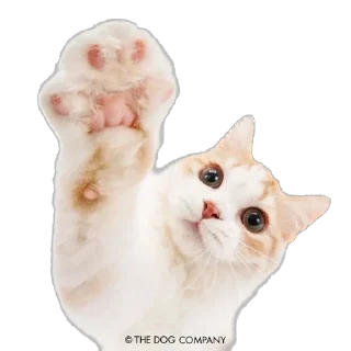 🐾 emoji комфорт^ Telegram sticker 24 of 50