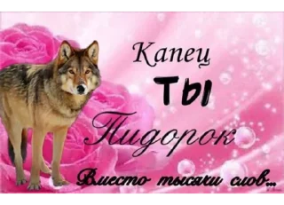 🐺 emoji ёбаный рот этого казино Telegram sticker 19 of 97