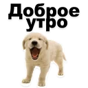 😍 emoji @TVstickers Puppies Telegram sticker 10 of 119