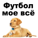 👌 emoji @TVstickers Puppies Telegram sticker 11 of 119