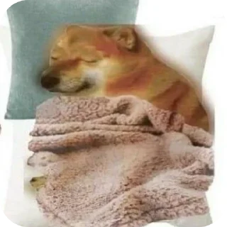 🛏 emoji IT'S ME, DAVE Telegram sticker 24 of 118