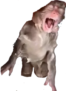 😥 emoji turbo mokako's |@hxnjv Telegram sticker 17 of 63