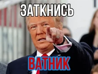 🌟 emoji Много фюррера не бывает Telegram sticker 18 of 120