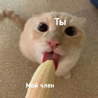 😍 emoji кто это использует отпишитесь @keoqqz Telegram sticker 12 of 73
