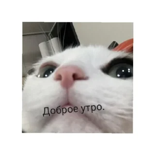 😄 emoji День/ ночь Telegram sticker 7 of 15
