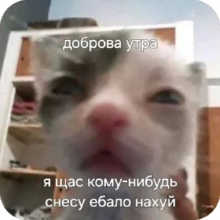 🫥 emoji 💜Жизнь глазками Марсика💜 Telegram sticker 23 of 31