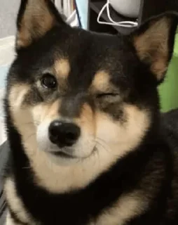 😉 emoji поБеда Telegram sticker 8 of 40