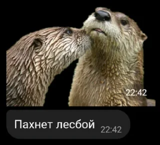 🥰 emoji поБеда Telegram sticker 13 of 40