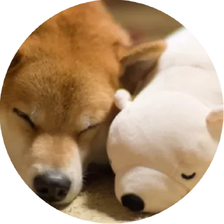😴 emoji поБеда Telegram sticker 22 of 40