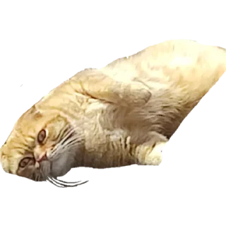 😳 emoji ой че будет Telegram sticker 13 of 19