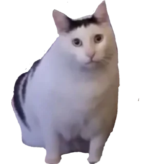 😐 emoji ой че будет Telegram sticker 7 of 19
