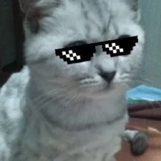 🐱 emoji кузя!! Telegram sticker 5 of 36