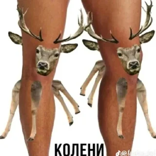 😄 emoji Я далбаеб Telegram sticker 17 of 17