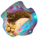 🌯 emoji SpaceCats @StikeryTG Telegram sticker 8 of 25