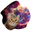 😳 emoji SpaceCats @StikeryTG Telegram sticker 1 of 25